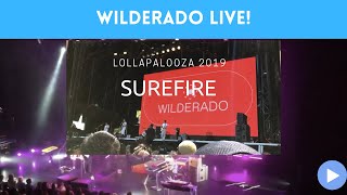 Wilderado Lollapalooza 2019  Surefire [upl. by Ender662]