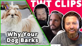 Forrest Galante Explains Why Your Dog Barks [upl. by Roana886]