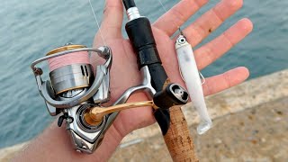 Summer lure Sessions  Seabass Fishing [upl. by Artinahs394]