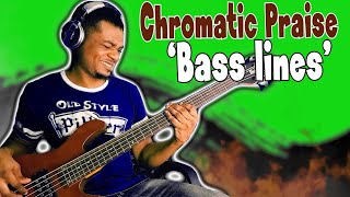 How To Play Praise Bassline Chromatically  Bass Lessons [upl. by Eetsud]