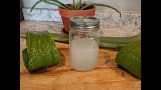 Cómo Hacer Gel de ALOE VERA Usos y 2 Métodos de Como Conservarlo [upl. by Aehc]