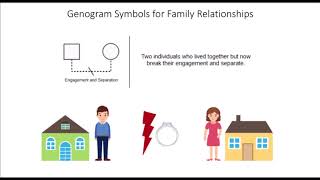 Genogram Symbols for Family Relationships EdrawMax [upl. by Weissmann275]