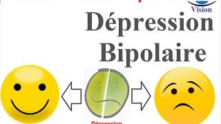 Les Symptomes du Trouble Bipolaire Depression amp Mania Bipolar Disorder Les Maladies mentales [upl. by Ailem865]