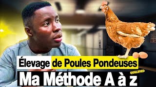 Aviculture  Élevage des poules pondeuses En Afrique  MA MÉTHODE A à Z [upl. by Gipson]