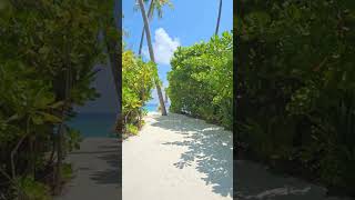 Siyam World Maldives [upl. by Neeneg661]