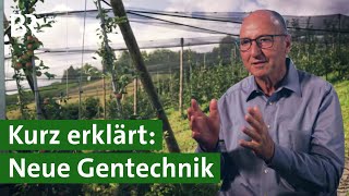 Wie funktioniert die neue grüne Gentechnik  Pro und Contra  Unser Land  BR [upl. by Nosirrah]