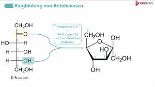 Ringbildung von AldohexosenKetohexosen [upl. by Noelani]