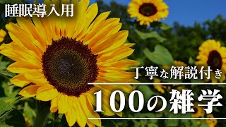 【睡眠導入用】100の雑学解説付き【雑学】いつもより贅沢に100個の雑学を♪ [upl. by Neelloj]