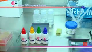 Sperm DNA Fragmentation Testing  Sperm Chroma Kit [upl. by Leveridge]