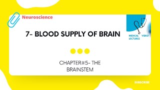 Blood supply of brain  CHAPTER5 THE BRAINSTEM [upl. by Manas]