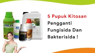 5 Pupuk Kitosan dari Cangkang Kepiting Pengganti Fungisida dan Bakterisida [upl. by Kaasi352]