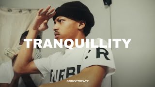 FREE Iayze x Jace Type Beat quotTranquillityquot [upl. by Liahus]