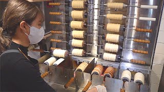 굴뚝빵 Best dessert Making Various Kinds of Chimney Cakes Trdelnik Trdlo  Korean street food [upl. by Ailenroc]