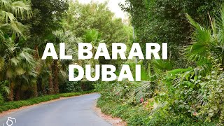 Al Barari Dubai A drive through the greenest community in Dubai [upl. by Aig]