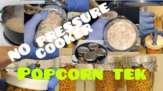 Stop Buying Pre Filled Grain Bags GROW MUSHROOMS CHEAP AND EASY🍄 NO PRESSURE COOKER NEEDED [upl. by Vachill]