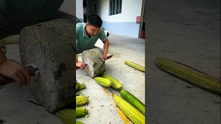 গাছের ফল দিয়ে জুতো তৈরি 👢 making shoe video 😲 shoes [upl. by Aiyotal648]