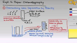 Paper Chromatography  Intro amp Theory [upl. by Volnay]