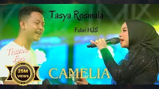 LIVE BANJIR SAWERAN  CAMELIA  TASYA ROSMALA  OM ADELLA  LIVE DI HJS PAMEKASAN MADURA [upl. by Sorazal]