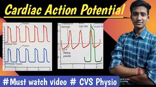 Cardiac Action Potential Cardiovascular System or CVS Physiology  in hindi Ashish Agrawal [upl. by Bernadene575]