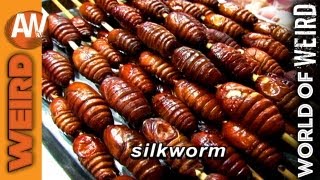 World of Weird  Beijing Food Market Bugs and Lizards [upl. by Adnalram483]