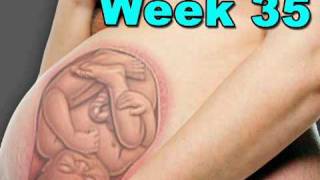 Fetal Development Week 35 Pregnancy Health Guru [upl. by Nial]