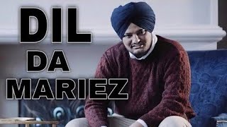 RIDE or DIE  Sidhu moosewala x Shubh  Punjabi GTA Video 2021  Birring Productions [upl. by Acitel]