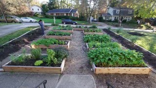 Front Yard Garden Timelapse [upl. by Ellehcram]