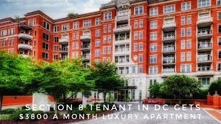 Why you shouldnt rent to section 8 tenants [upl. by Israel127]