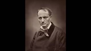 L Étranger  Charles Baudelaire AudioBook FR [upl. by Jolee]