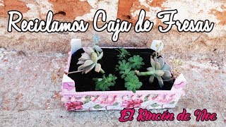 Como hacer macetero con caja de fresas El Rincón de Noe [upl. by Fremont821]