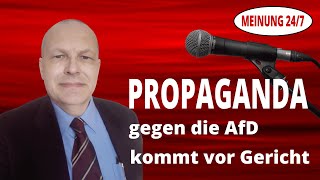 Propaganda gegen die AfD kommt vor Gericht [upl. by Pattani]