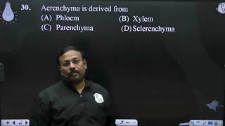 Aerenchyma is derived from [upl. by Karry]