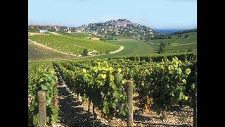 BOURGES SANCERRE Marche thierrymonicault Accordéon et chant [upl. by Gilliette]