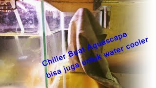 DIY Chiller Buat Aquarium  water cooler fan [upl. by Bordy]