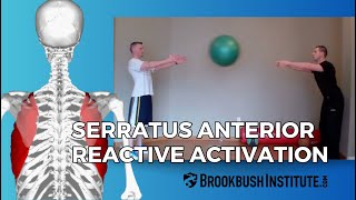 Serratus Anterior Reactive Activation [upl. by Berna415]