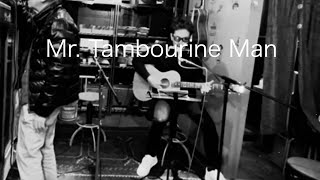 Mr Tambourine Man  Bob Dylan cover [upl. by Aifos]