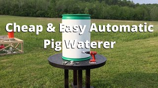 How to Make an Automatic Pig Waterer Drinker  Cheap amp Easy [upl. by Anerroc]