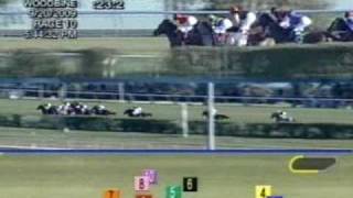 2009 Woodbine Mile [upl. by Katalin]