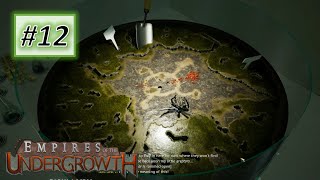 Empires of the Undergrowth 12 All Formicarium Challenge 14 No Commentary [upl. by Sioled724]