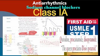 Class 1A Antiarrhythmic drugs Quinidine procainamide disopyramide in HindiUrdu by first aid [upl. by Annauqaj]