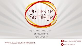 Symphonie n°8 quotInachevéequot  1er mouvement  Franz Schubert [upl. by Adnohsal11]