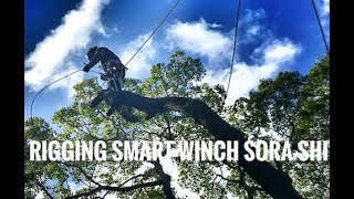 Smart Winch  Rigging  Cutting  pruning  Gopro  Arborist [upl. by Lrigybab128]