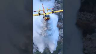 Canadair CL415 EPIC DIVING WATER BOMB [upl. by Tedmund972]