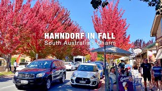 Hahndorf in Fall Exploring the Picturesque German Town in South Australia  Australia Travel Guide [upl. by Teena]