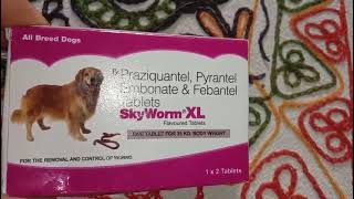 Review  SkyWorm XL  Deworming Tablet for Dogs  Dosage Usage Sideeffects petcare dog [upl. by Cyb892]