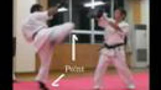 Kenpo Kai  Otoshi Mawashi Geri [upl. by Aurelea]