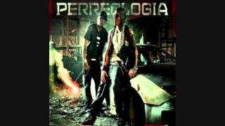 Energia Remix  Alexis Y Fido Ft Wisin Y Yandel [upl. by Ennael]