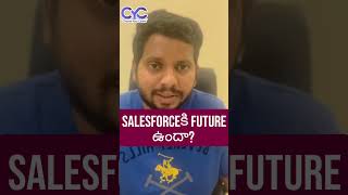 Salesforceకి Future ఉందా  Choose Your Career  Career Guidance Call 8688253795 [upl. by Abramo]