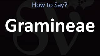 How to Pronounce Gramineae CORRECTLY [upl. by Beatrix]