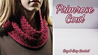 Easy Crochet Cowl  Easy Crochet Scarfl  Bag O Day Crochet Tutorial 548 [upl. by Inavoig]